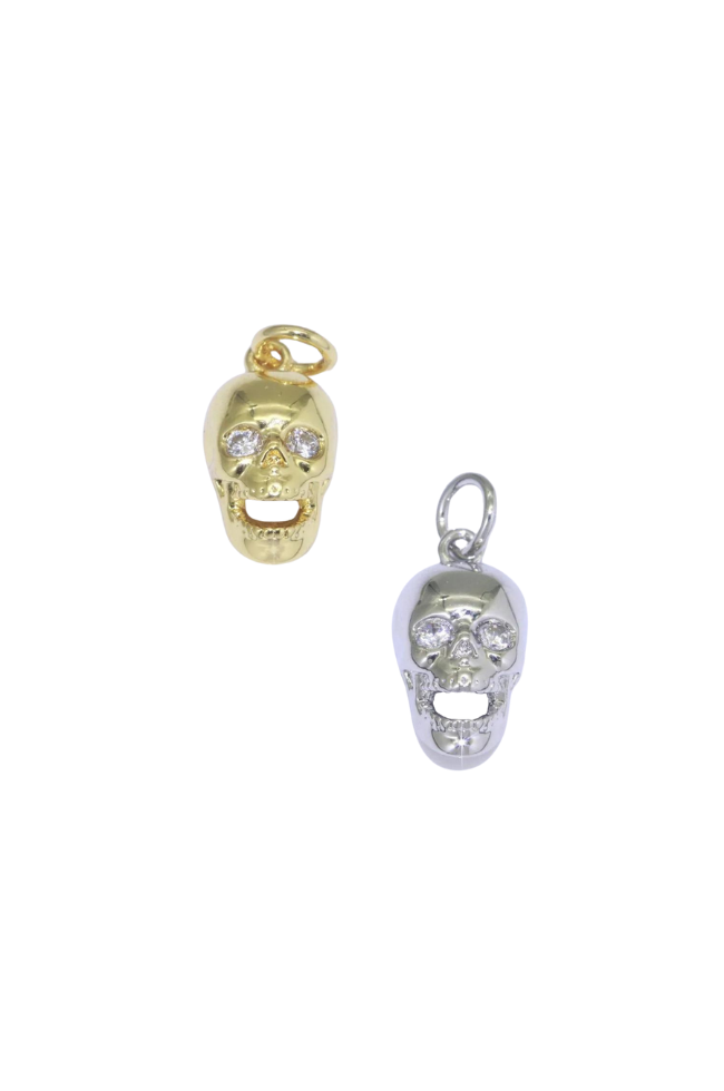 3D Skull Charm