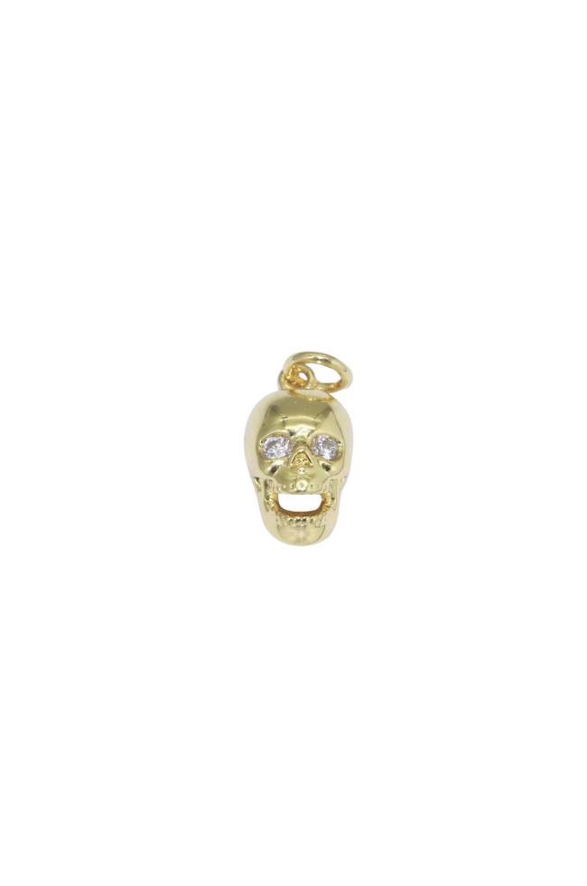 3D Skull Charm