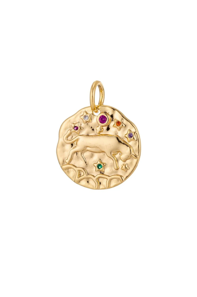 Colorful CZ Zodiac Coin Charm