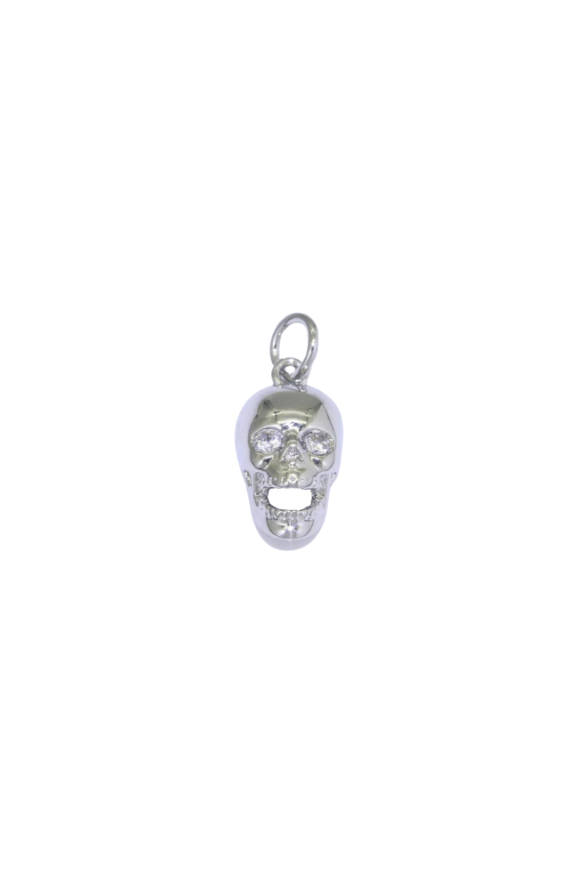 3D Skull Charm
