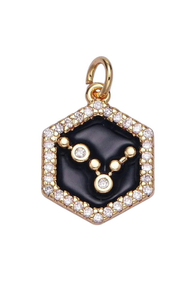 Black Enamel Birth Star Zodiac Charm