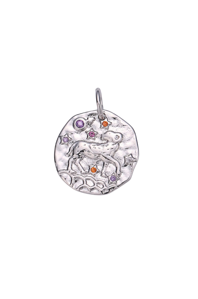 Colorful CZ Zodiac Coin Charm