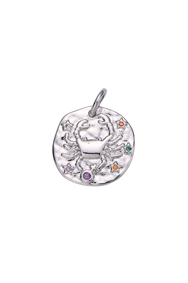 Colorful CZ Zodiac Coin Charm