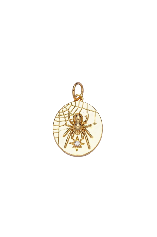 Spider Web Charm