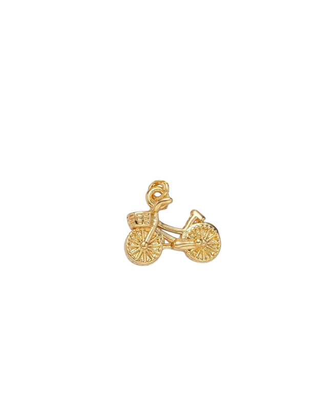 Bicycle w/ Basket Charm
