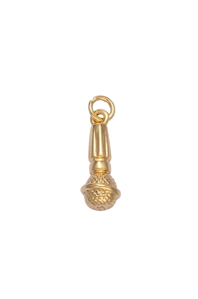 3D Microphone Charm