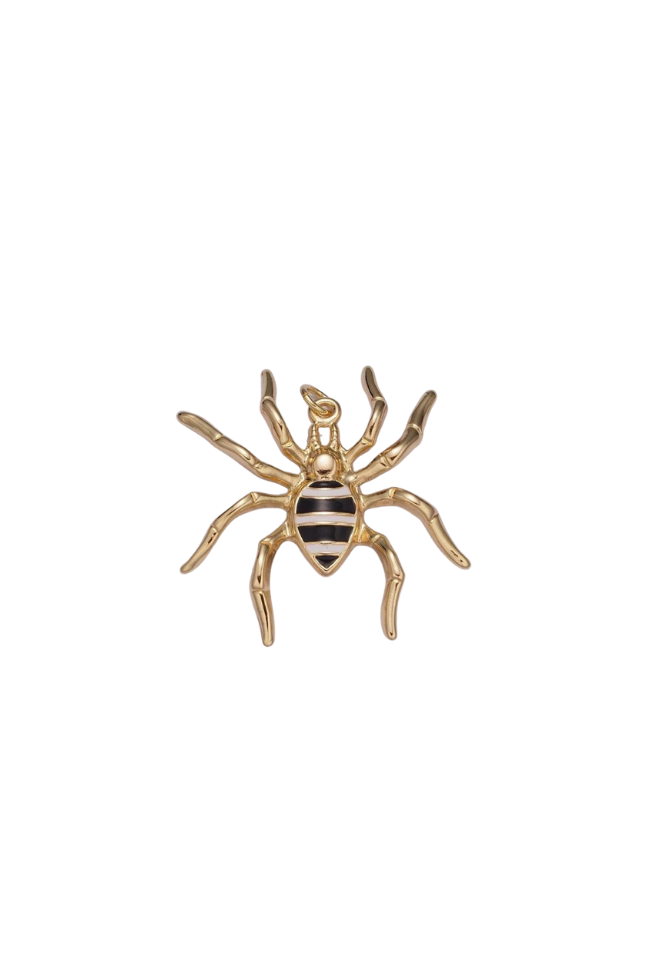 Large Striped Spider Charm