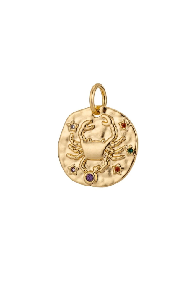 Colorful CZ Zodiac Coin Charm