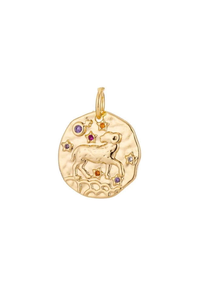 Colorful CZ Zodiac Coin Charm